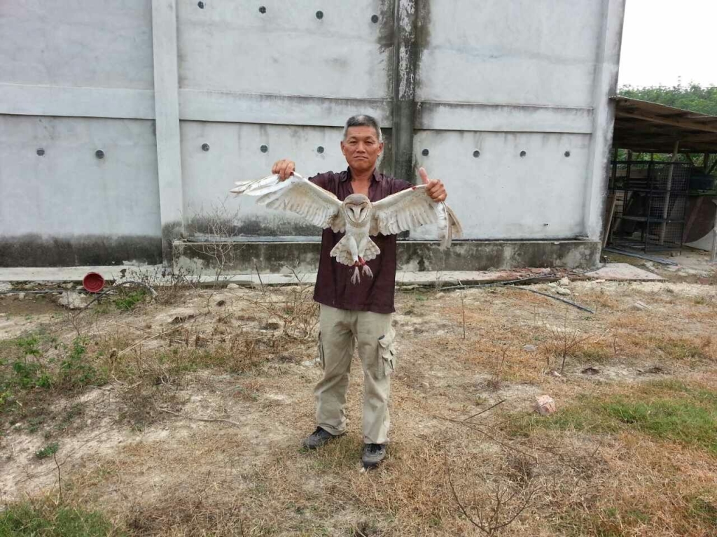 mmexport1440404758965