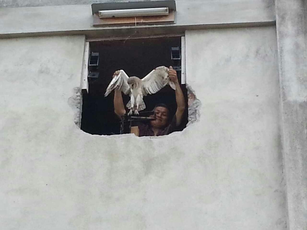 mmexport1440404762607